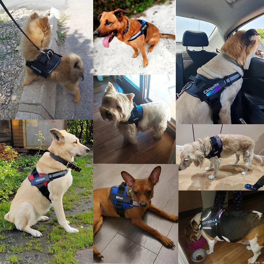 Dog Harness NO PULL Reflective Breathable Adjustable Pet Harness Vest with ID Custom Patch