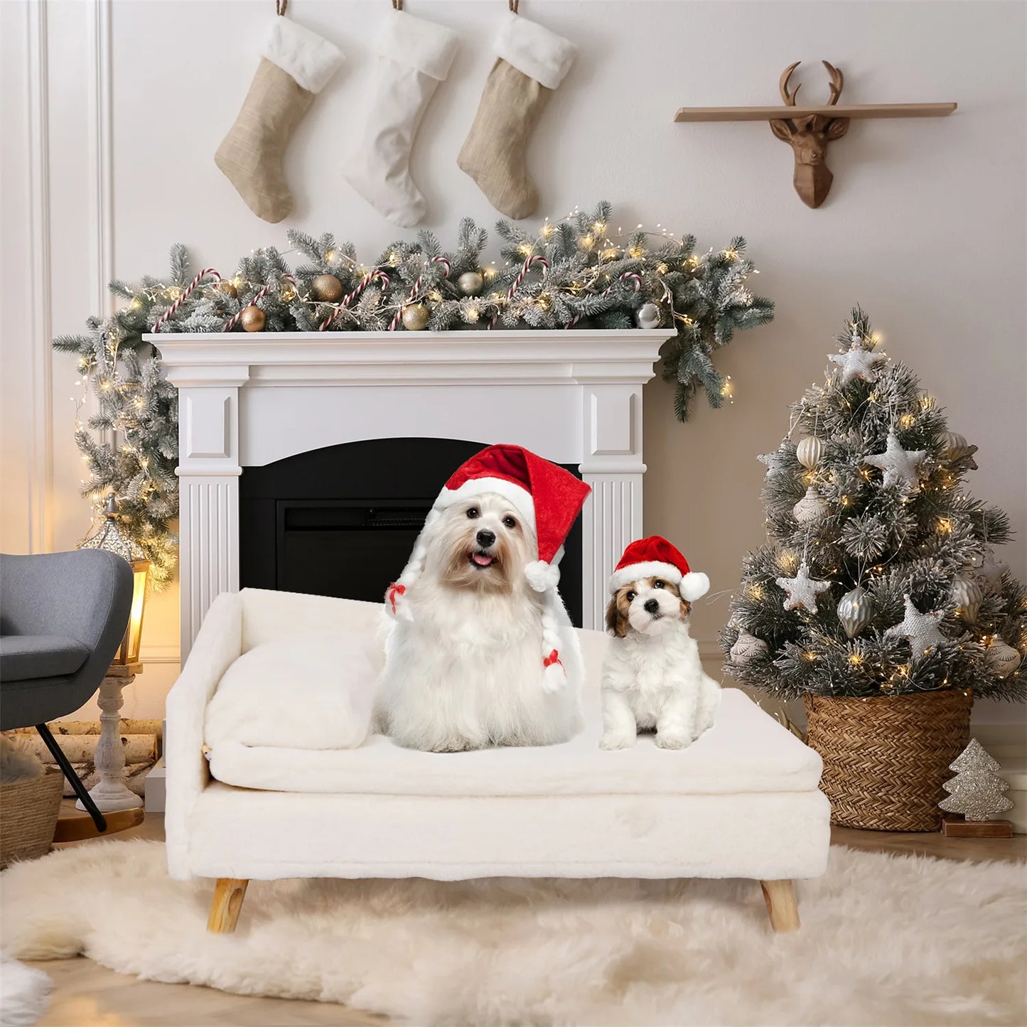 Elevated Pet Bed with Cozy Pad That Is Waterproof