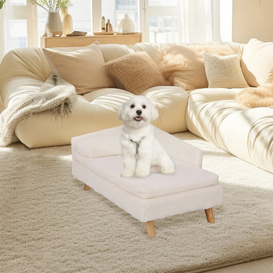 Elevated Pet Bed with Cozy Pad That Is Waterproof