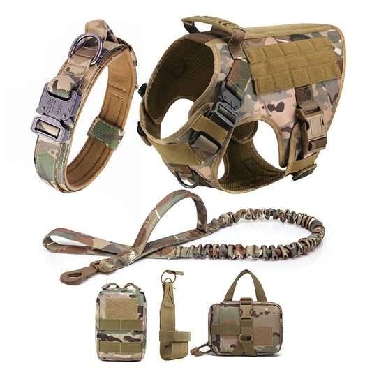 Training/Walking Dog Collar, Harness & Leash Set Pet