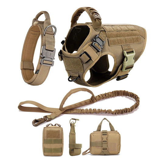 Training/Walking Dog Collar, Harness & Leash Set Pet